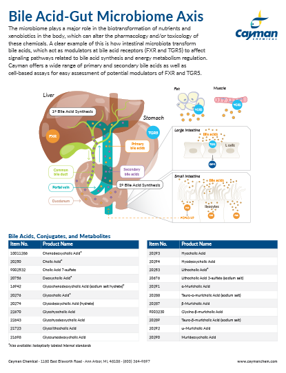 <p>​Bile Acid-Gut Microbiome Axis<br></p>
